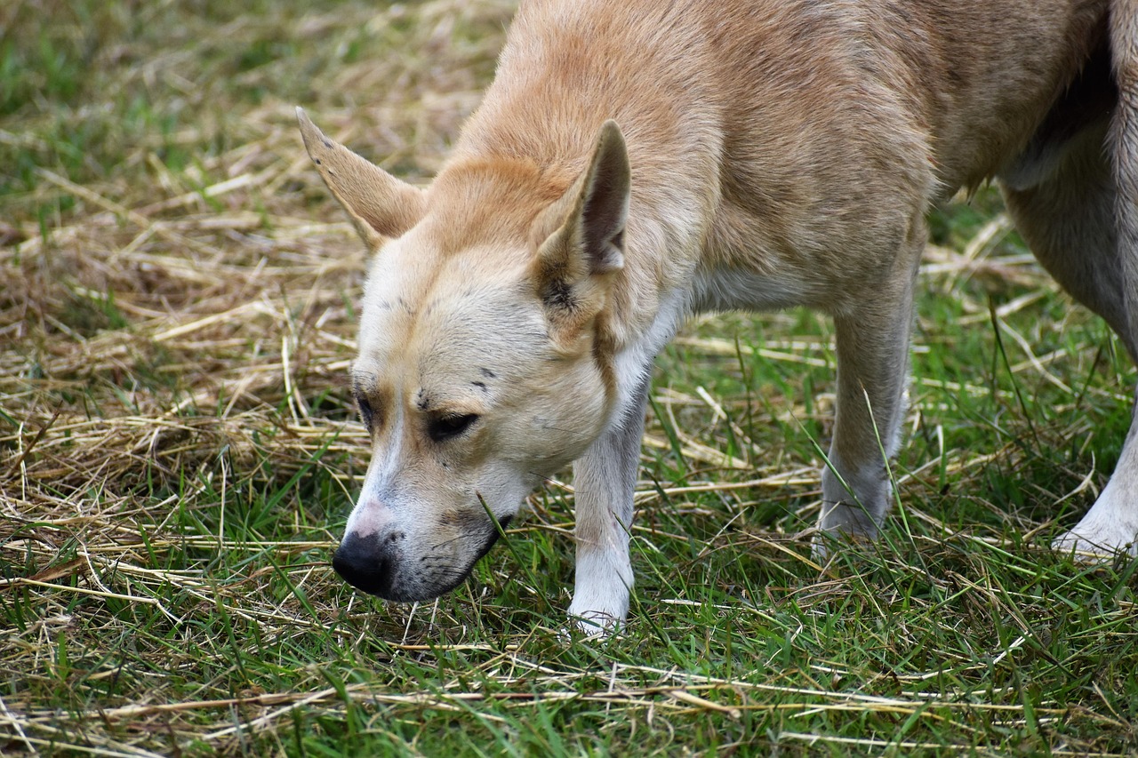 Einzelcoaching „Starte durch“ Einzelcoaching „Starte durch“